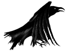 static raven