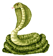 animated cobra